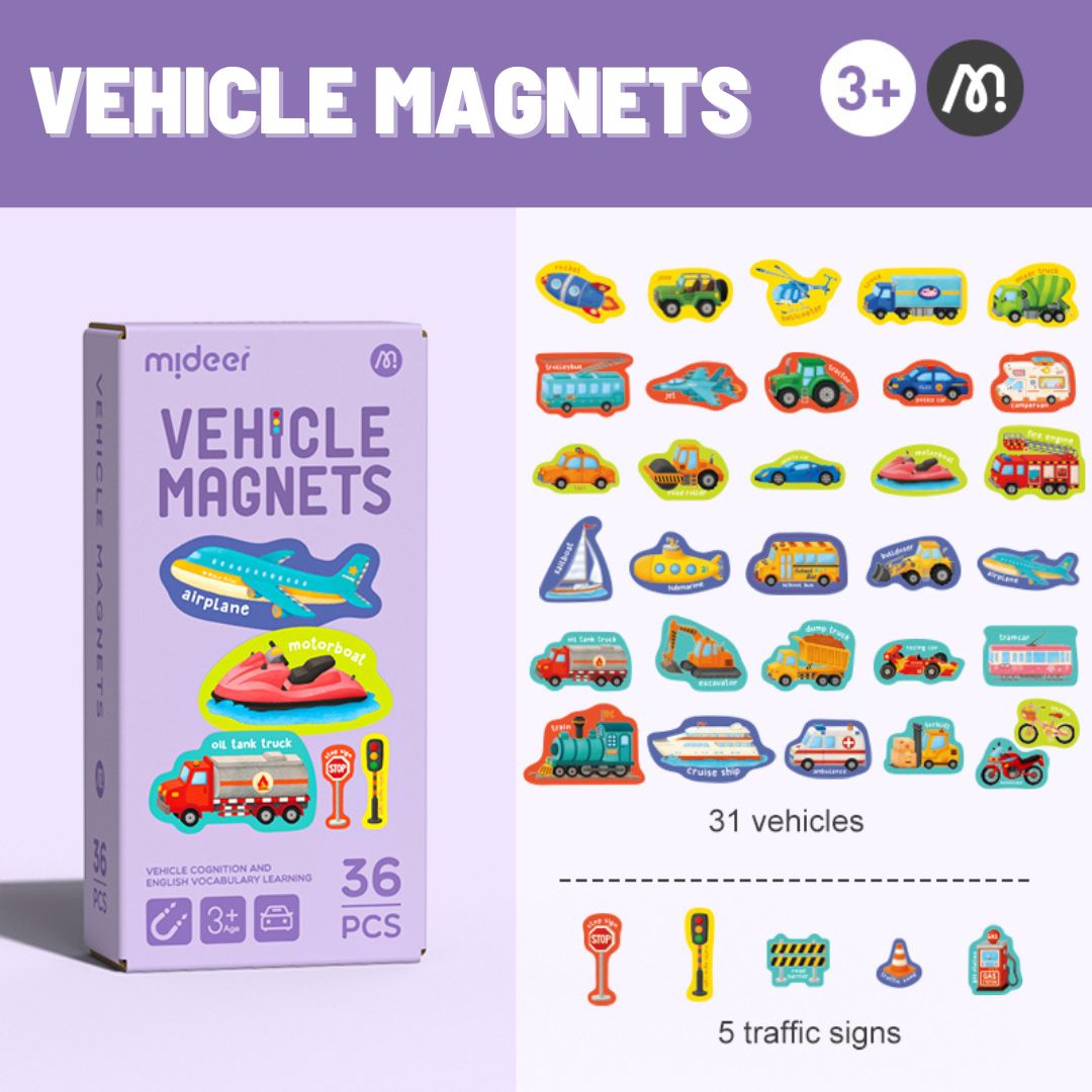 Vehicle Magnets